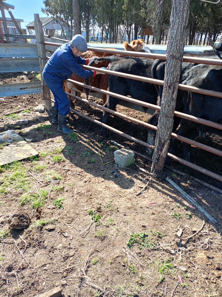 Ветеринарные мероприятия в Каспийске